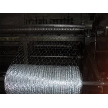 Hot Dipped Galvanized Rabbit Netting